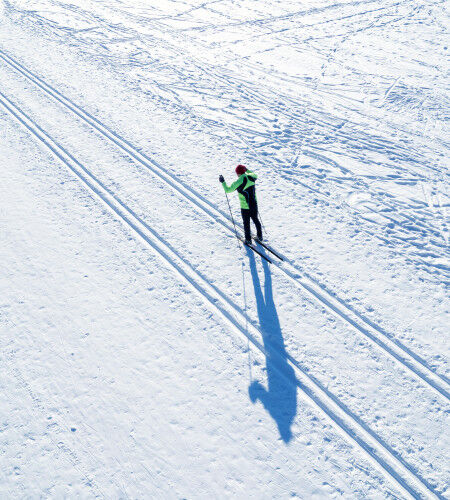 AdobeStock_562706712
			                        