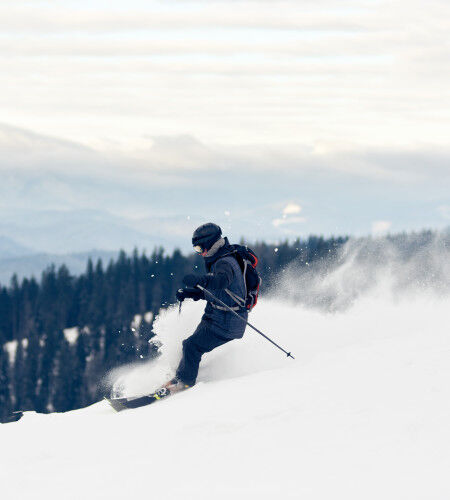 AdobeStock_311853980
			                        