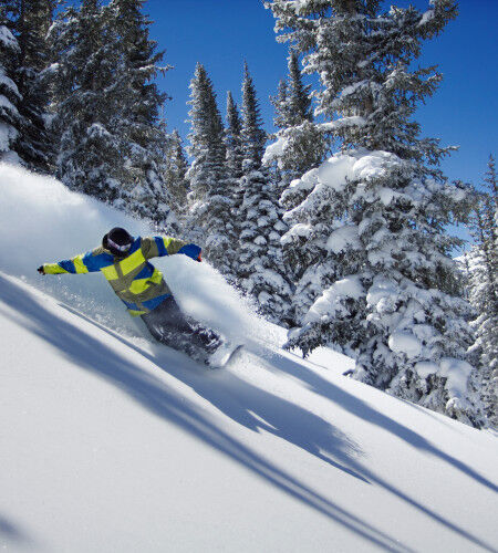 AdobeStock_233665934
			                        