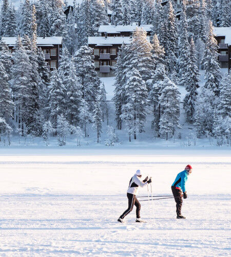 AdobeStock_245723423_3
			                        