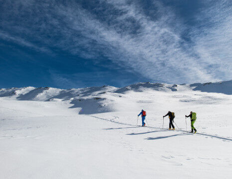 AdobeStock_249248770
					        