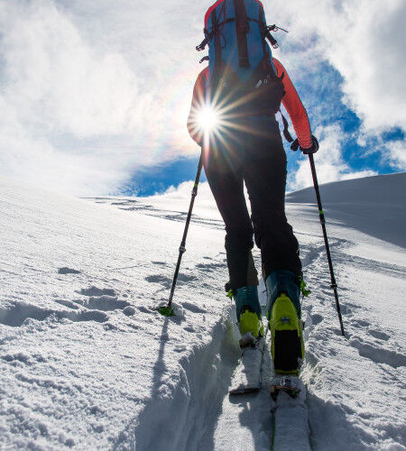 AdobeStock_137056125
			                        