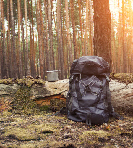 AdobeStock_224300218
			                        