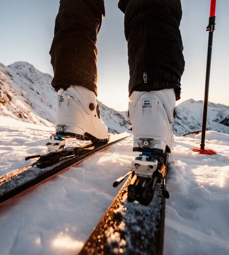 AdobeStock_415961270
			                        