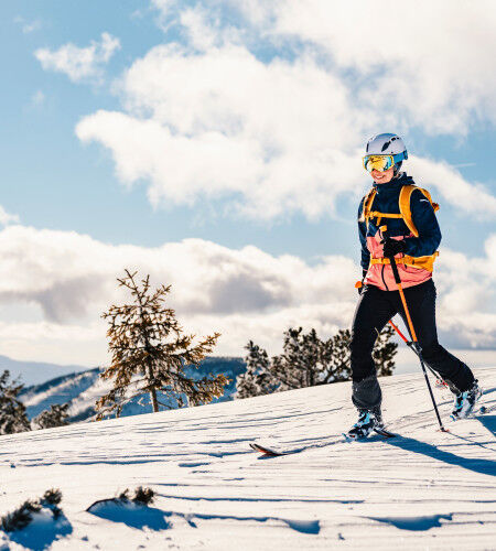 AdobeStock_487198469
			                        