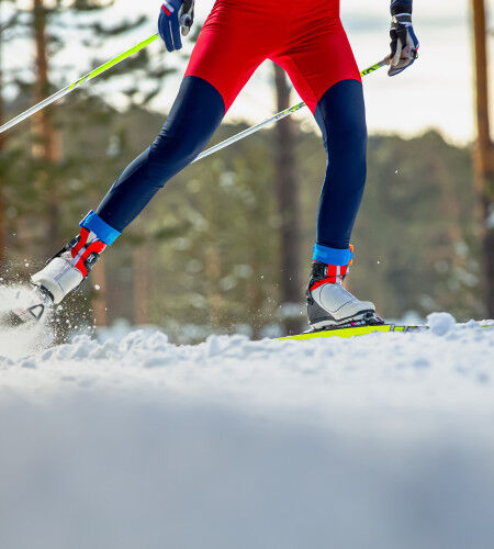 Skating cross-country skiing
			                        