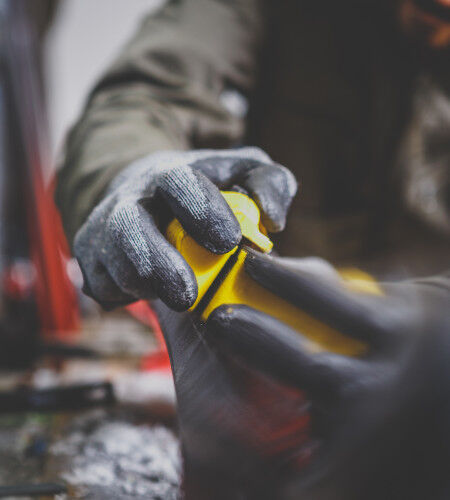 AdobeStock_238970969
			                        