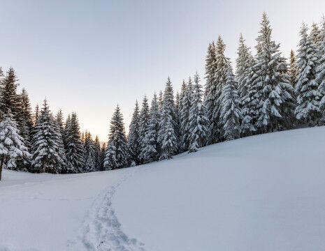 AdobeStock_136308022
					        