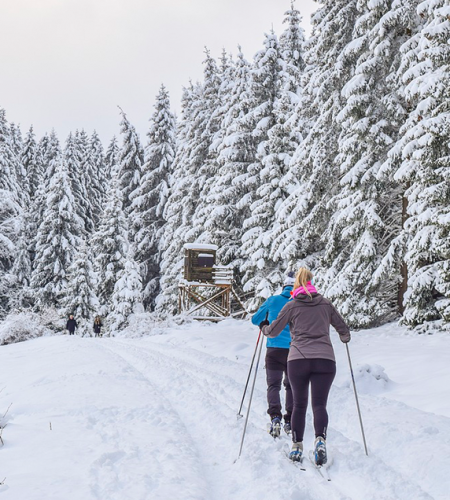 cross-country skiing site
			                        