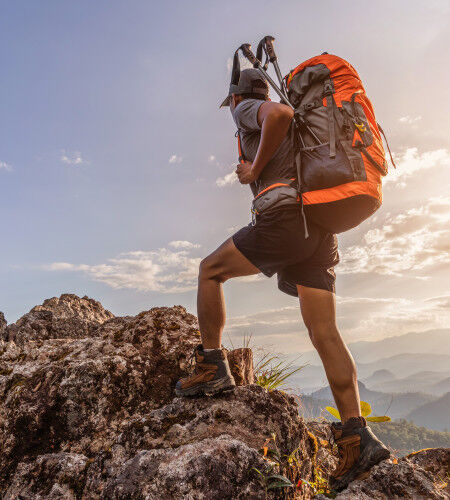 AdobeStock_543666700
			                        