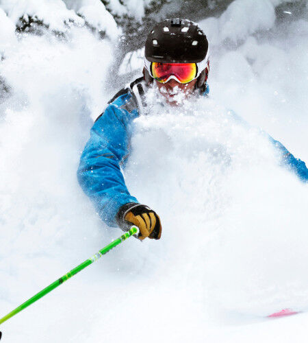 AdobeStock_227530631
			                        