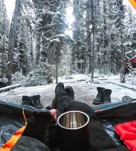 AdobeStock_326428934
			                        