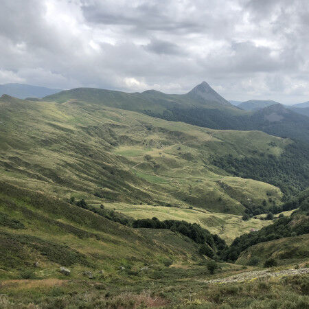 IMG-8780