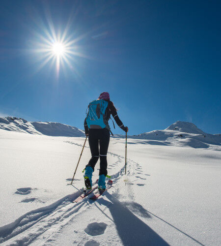 AdobeStock_137909201
		                        