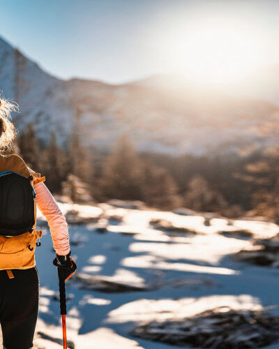 AdobeStock_481252055
			                        