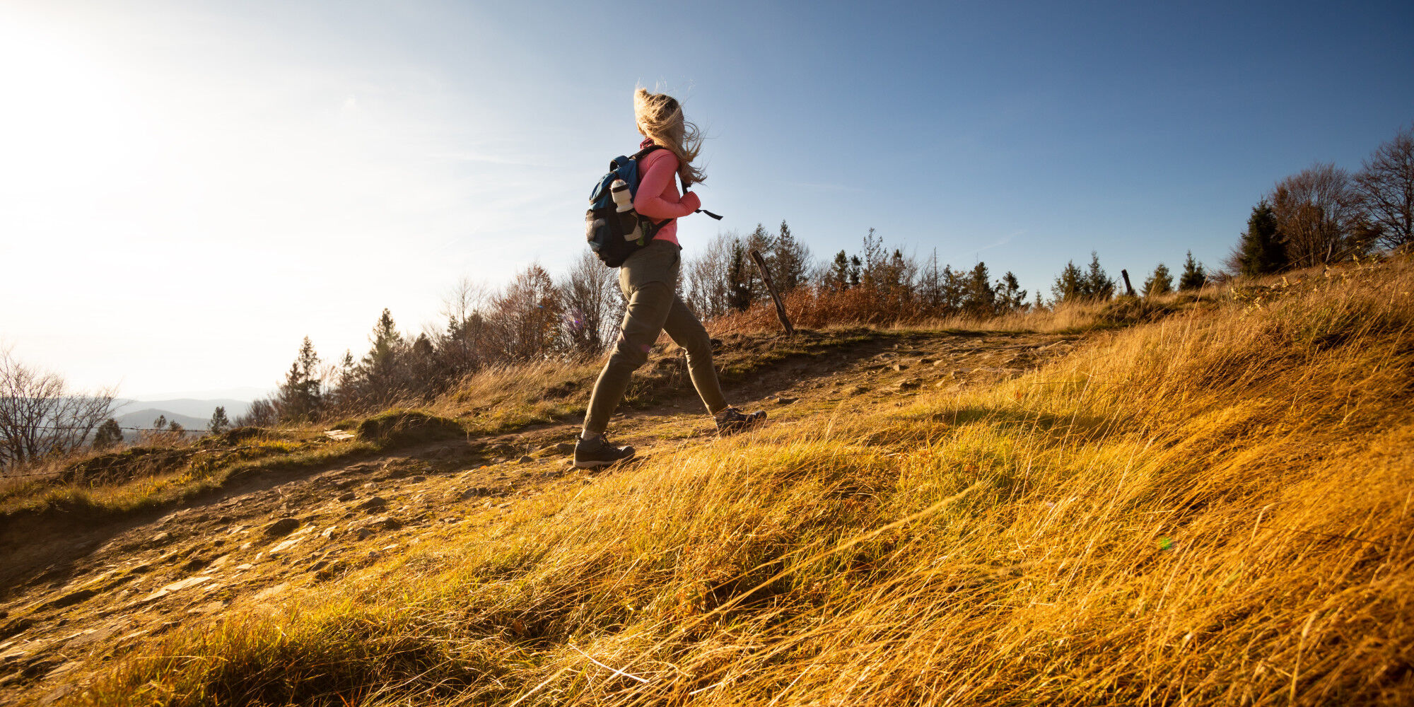 AdobeStock_301425975
				        