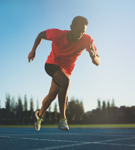 AdobeStock_233274051
			                        