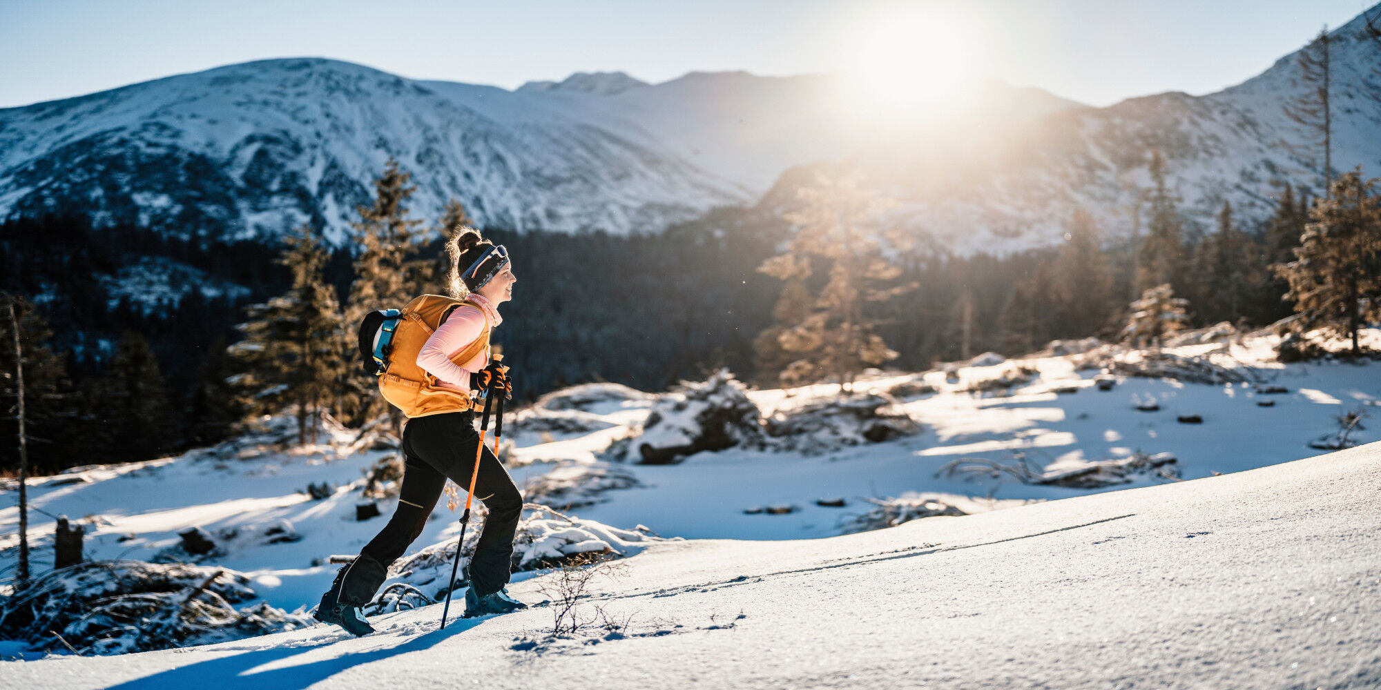 AdobeStock_481252051
				        