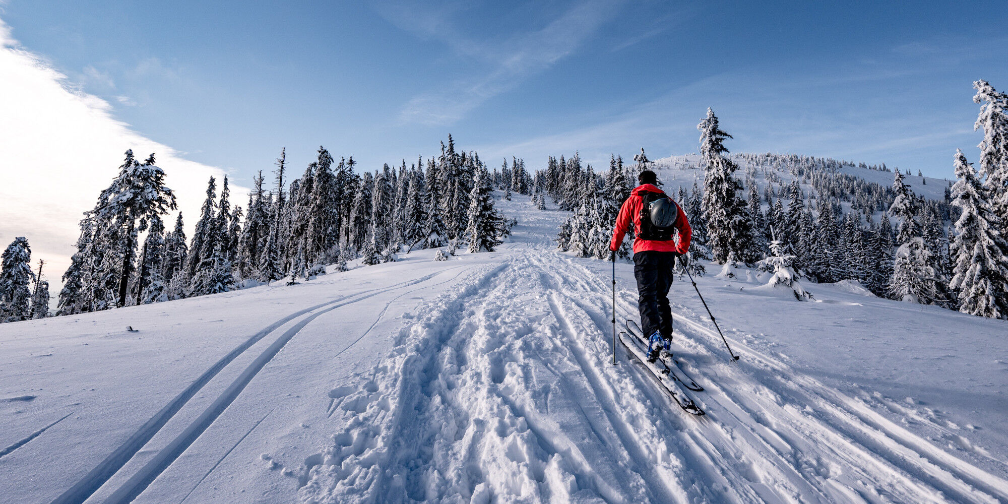 AdobeStock_417706237 (1)
				        