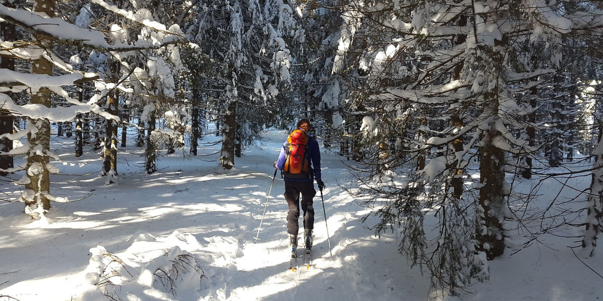 backcountry-skiiing-2004247_1280
				        