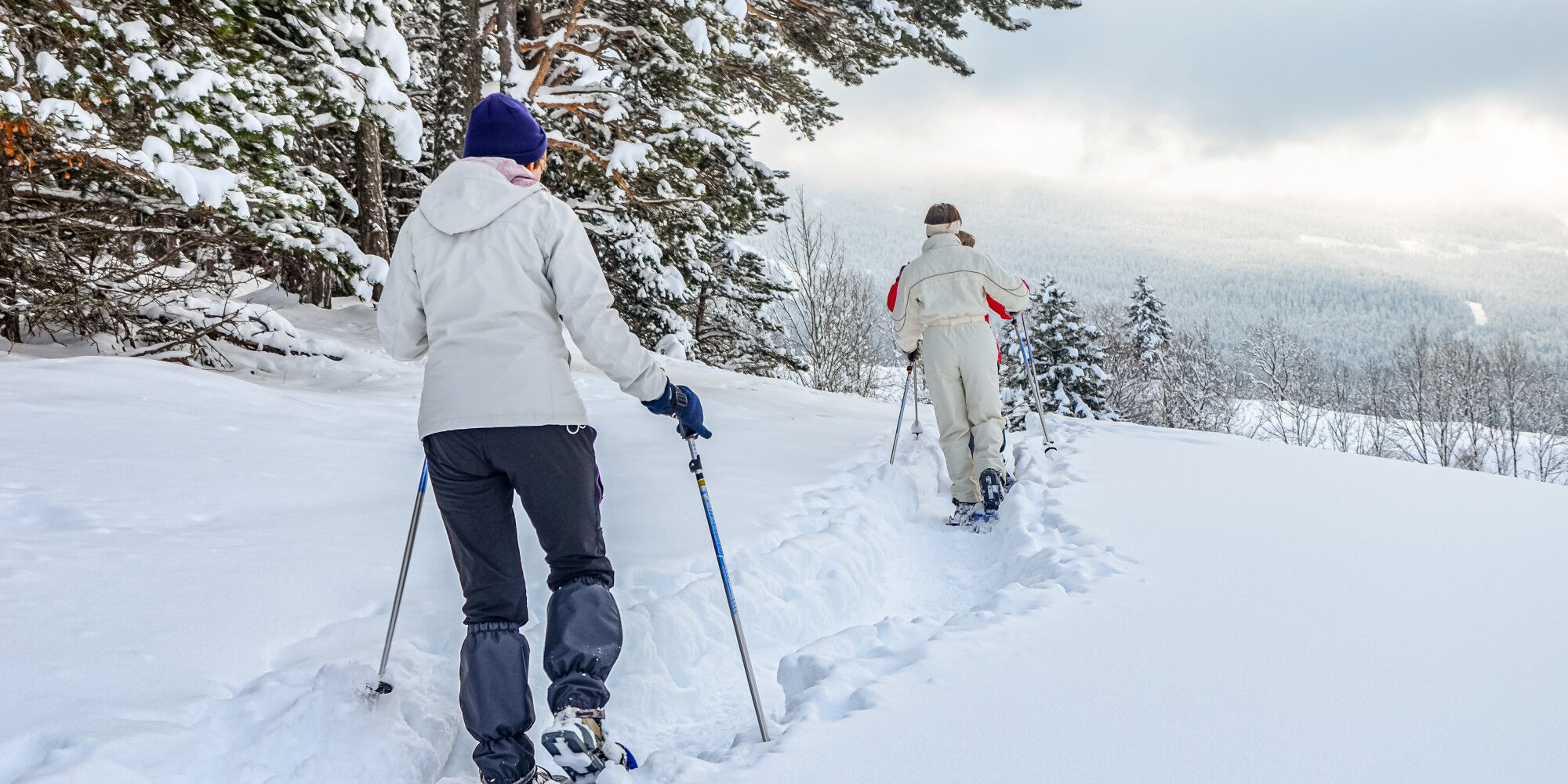 people who go snowshoeing
				        