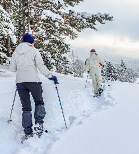 people who go snowshoeing
		                        