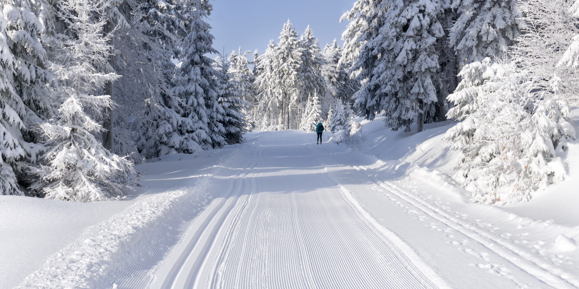 AdobeStock_133770056 (1)
				        