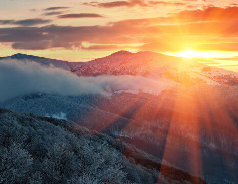 AdobeStock_177642991
					        