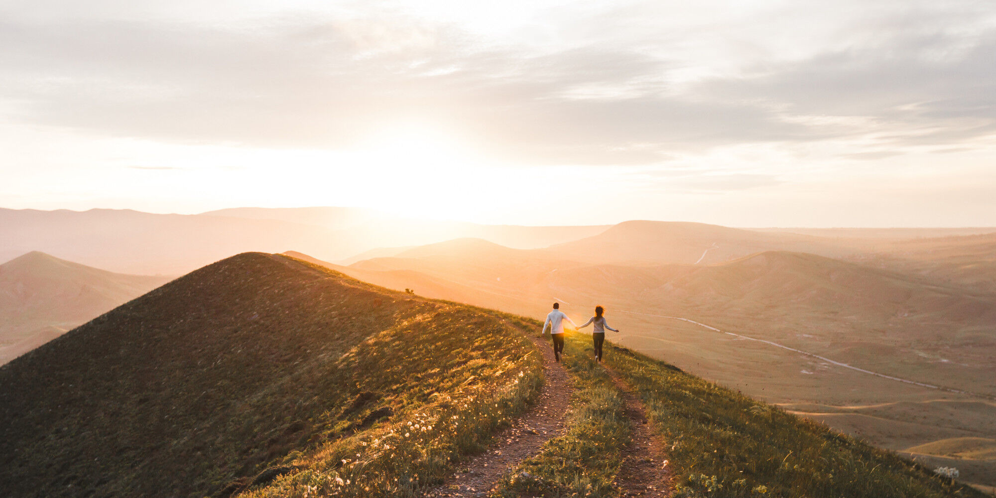 AdobeStock_231604824
				        