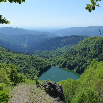 lac des perches
			                    