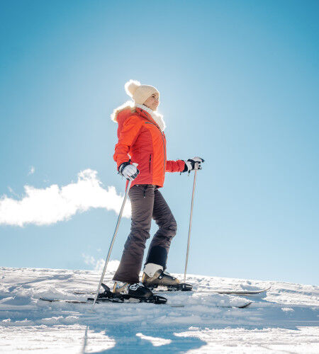 skier
		                        