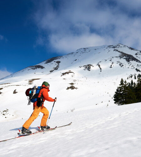 ski touring in the mountains
		                        